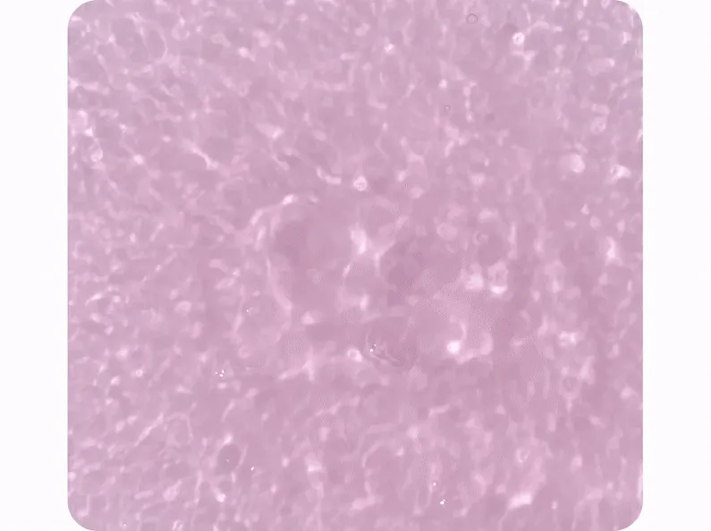 [ティアム] PDRN コラーゲン グロウアップセラム | 詳細画像6