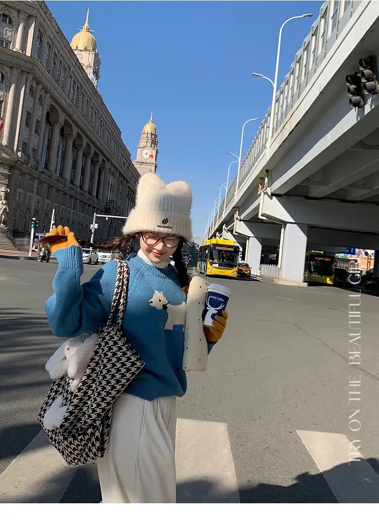 ラウンドネックラグラン配色ニット | 詳細画像5