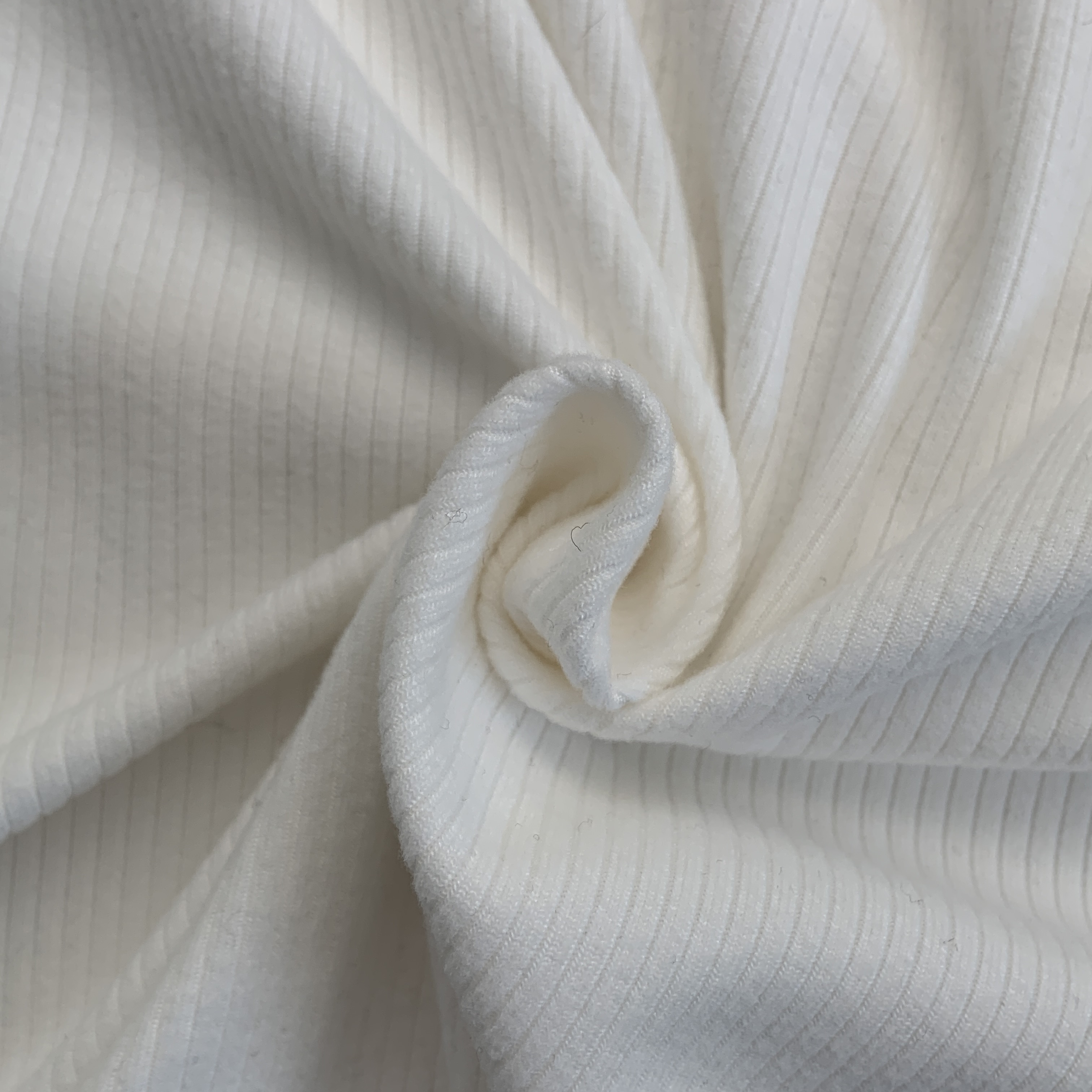 リブラウンドネックボタンスリーブカラーTシャツ | 詳細画像5