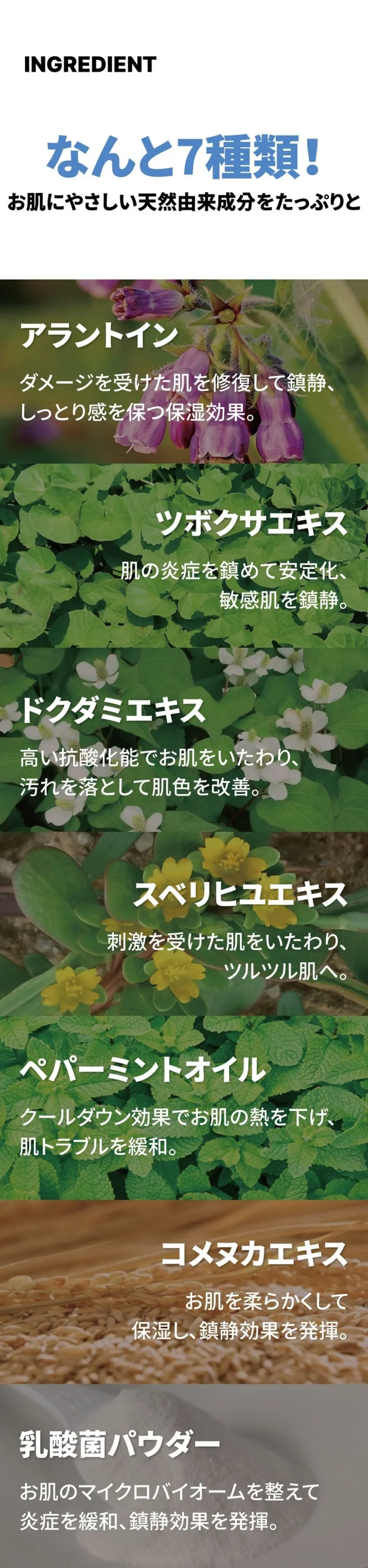 [サニコーン] マイクロバイオーム モデリングパック 鎮静毛穴 1セット（7枚入り | 詳細画像26