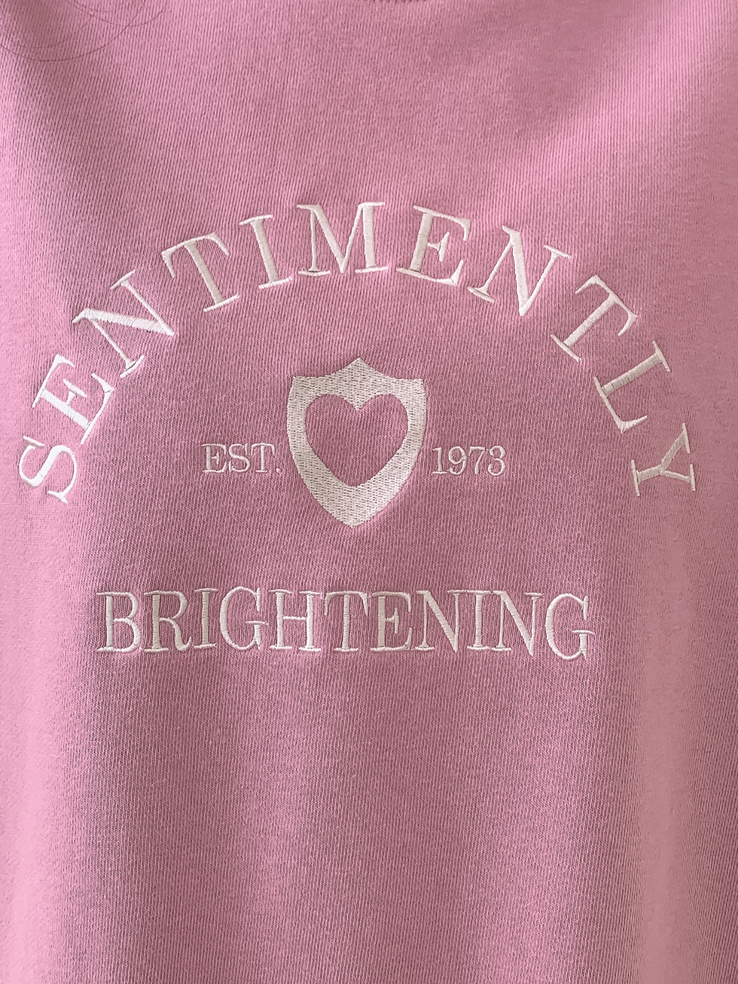 ラウンドネックオーバーサイズ長袖刺繍スウェット | 詳細画像6