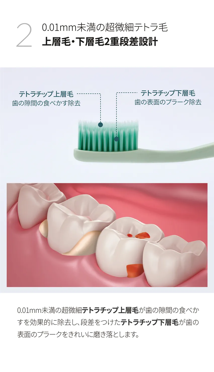 [ロロベル] ワワ歯ブラシ (12ea) | 詳細画像9