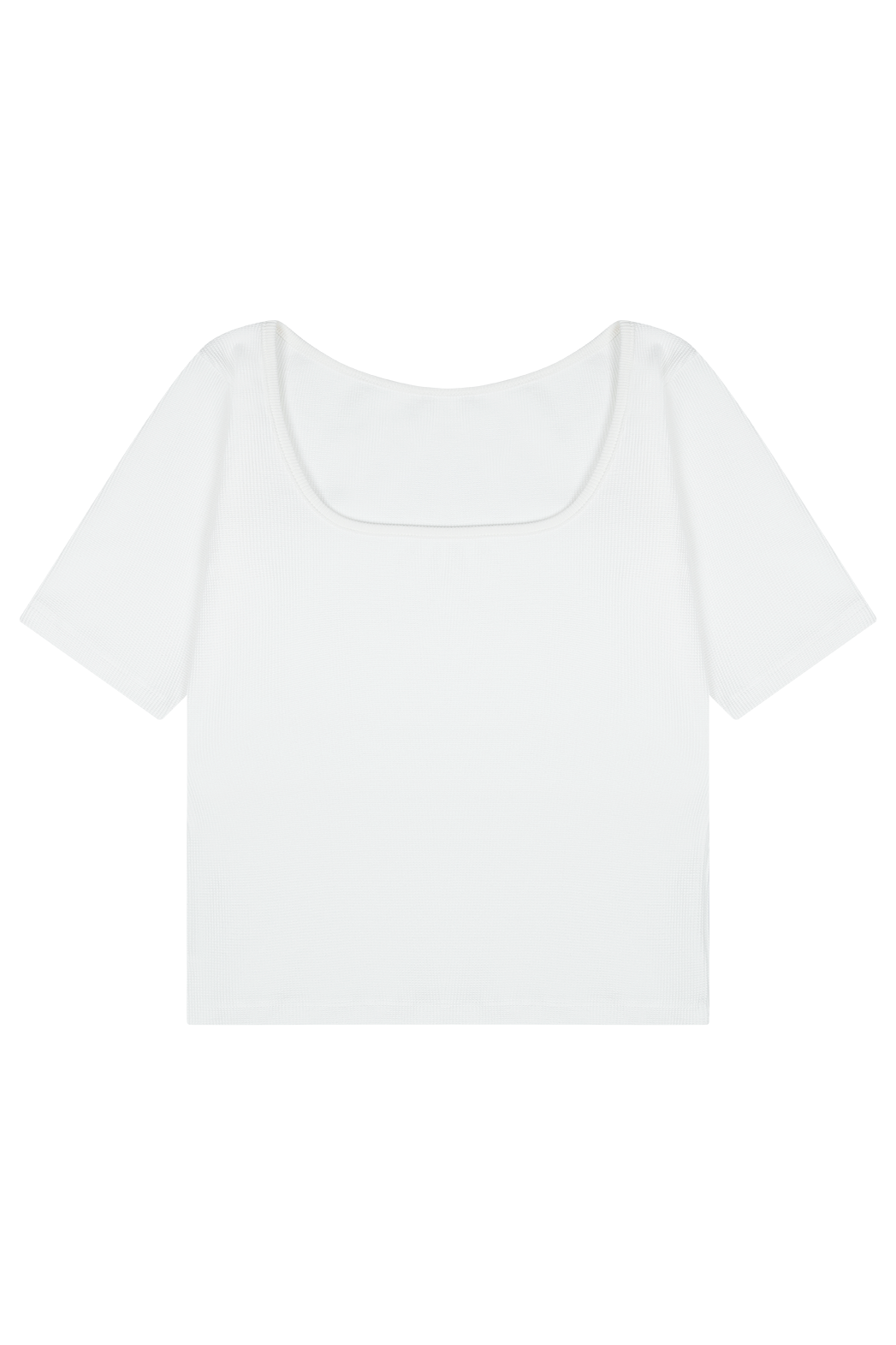 コットンスリムセミクロップド無地TシャツSS | 詳細画像24