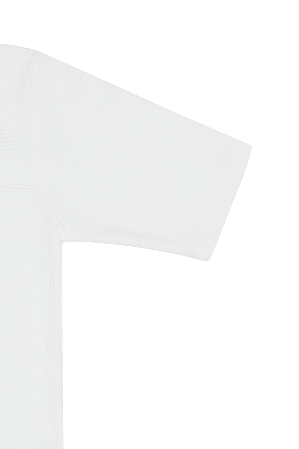 コットンスリムセミクロップド無地TシャツSS | 詳細画像27