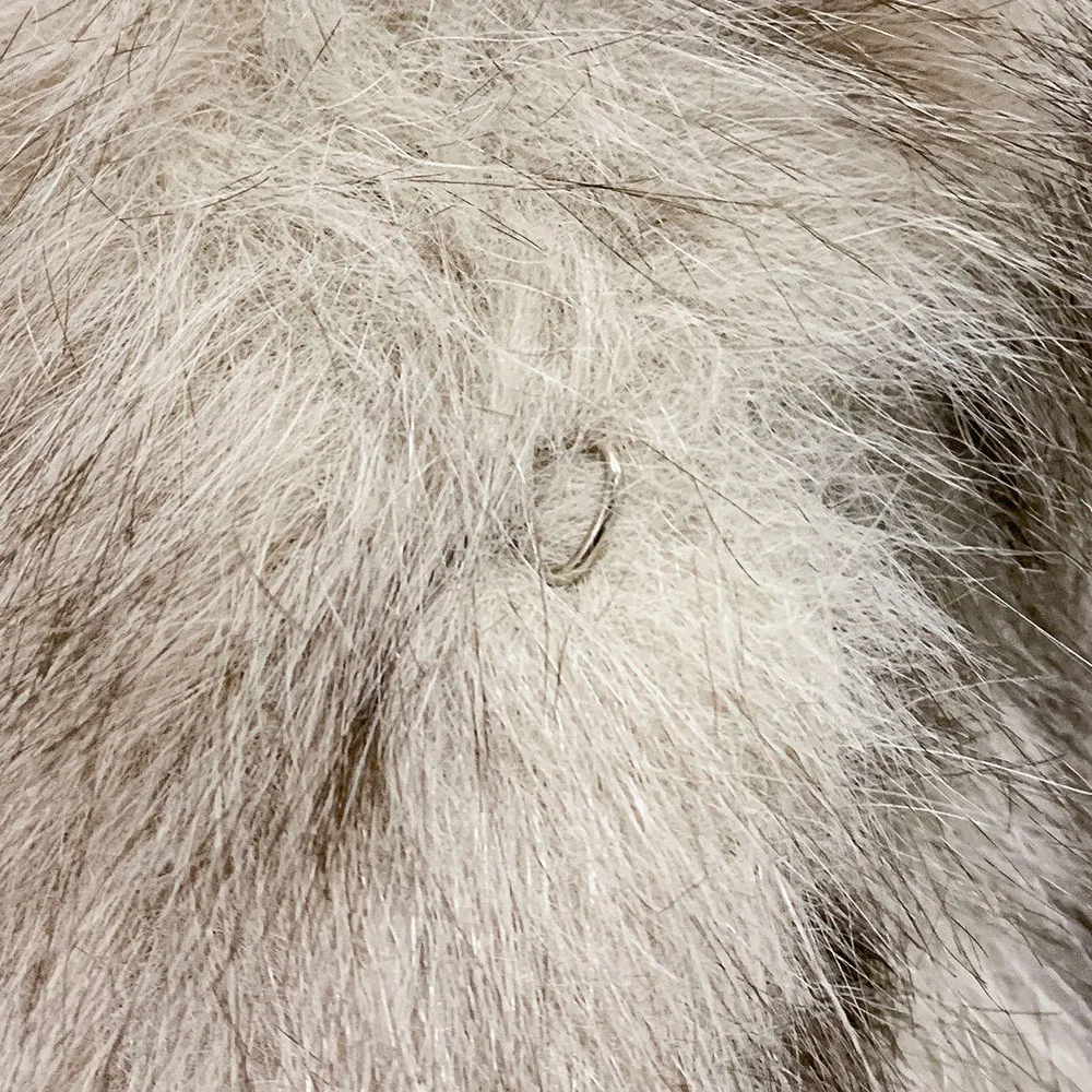 재킷 상품상세 이미지-S1L24