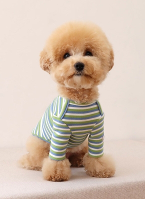 犬用ボーダーロンパース(グリーン/ブルー) | レディースファッション